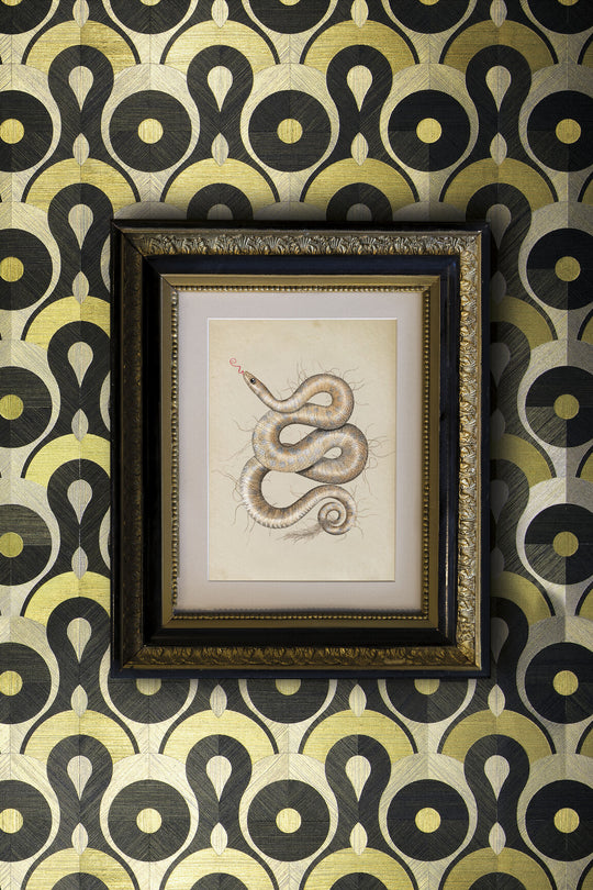ARTE Queen Cobra Moooi Wallcovering Memento Moooi MO4010 afbeelding 4
