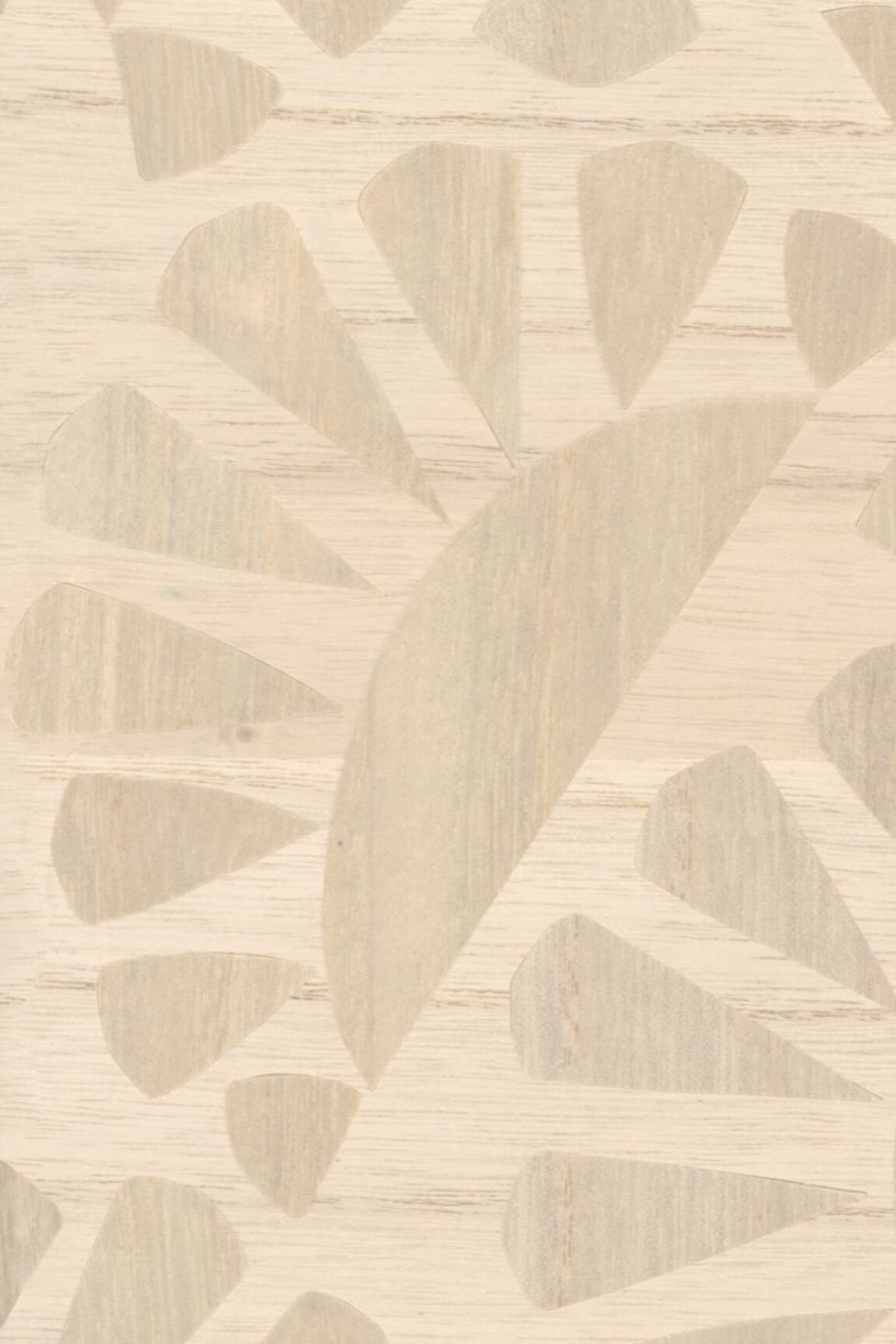 ARTE-Moooi-Wallcovering-Green-House-Woodblock-Beetle-Flora-|-Birch-MO5060 afbeelding 1 Naturel