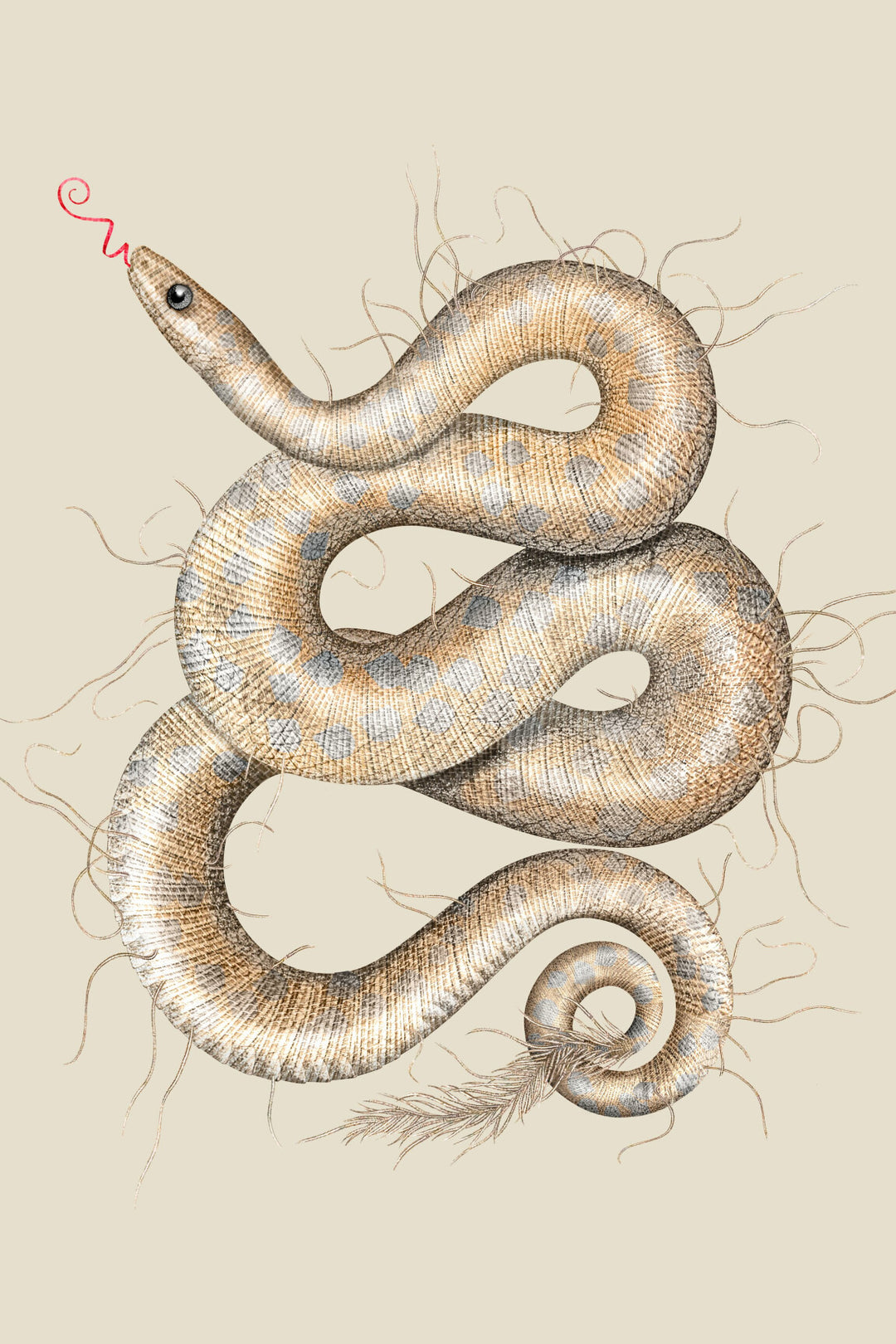 ARTE Queen Cobra Moooi Wallcovering Memento Moooi MO4010 afbeelding 5