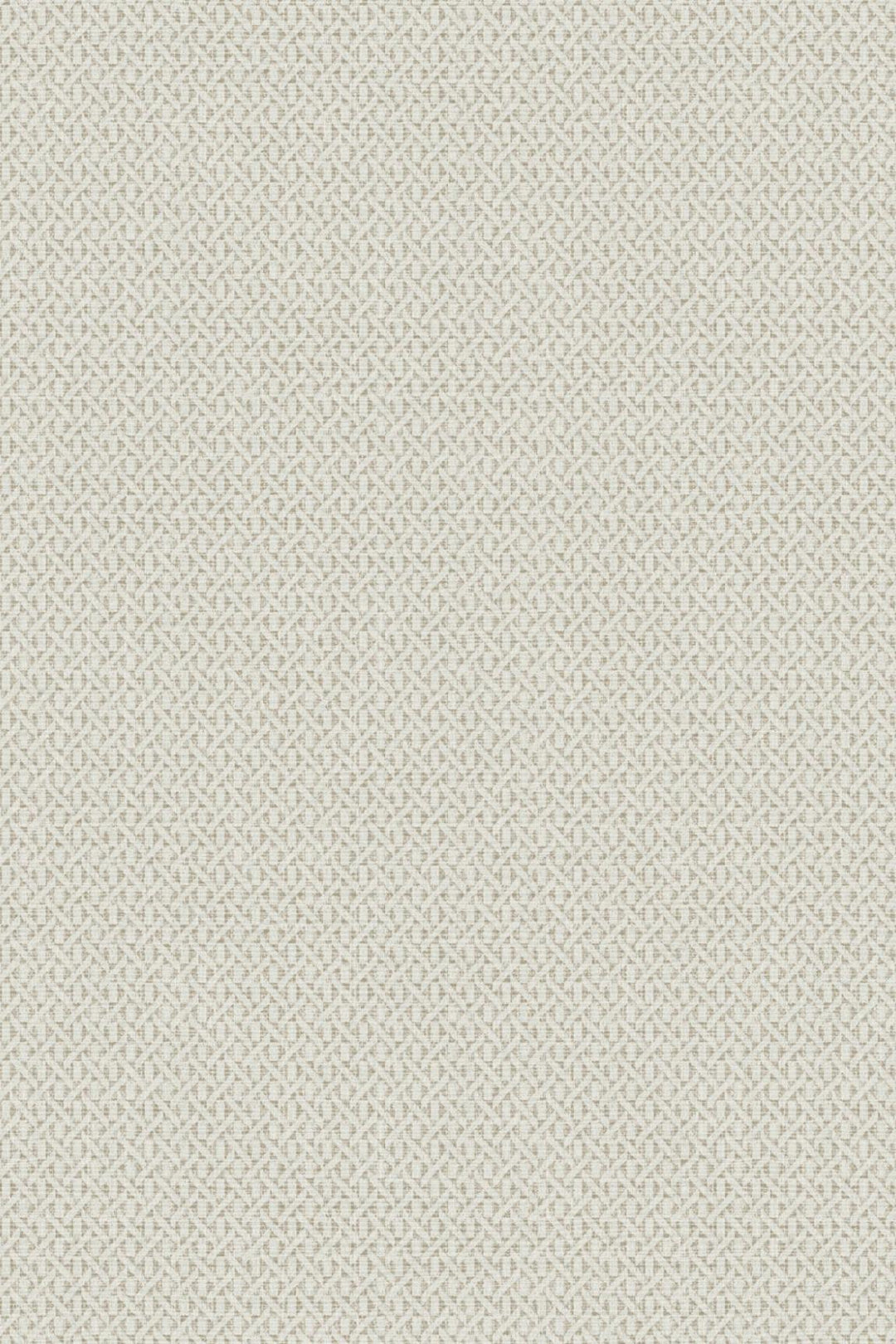 HookedOnWalls Natural Chic Roma behang 32640Afbeelding 3