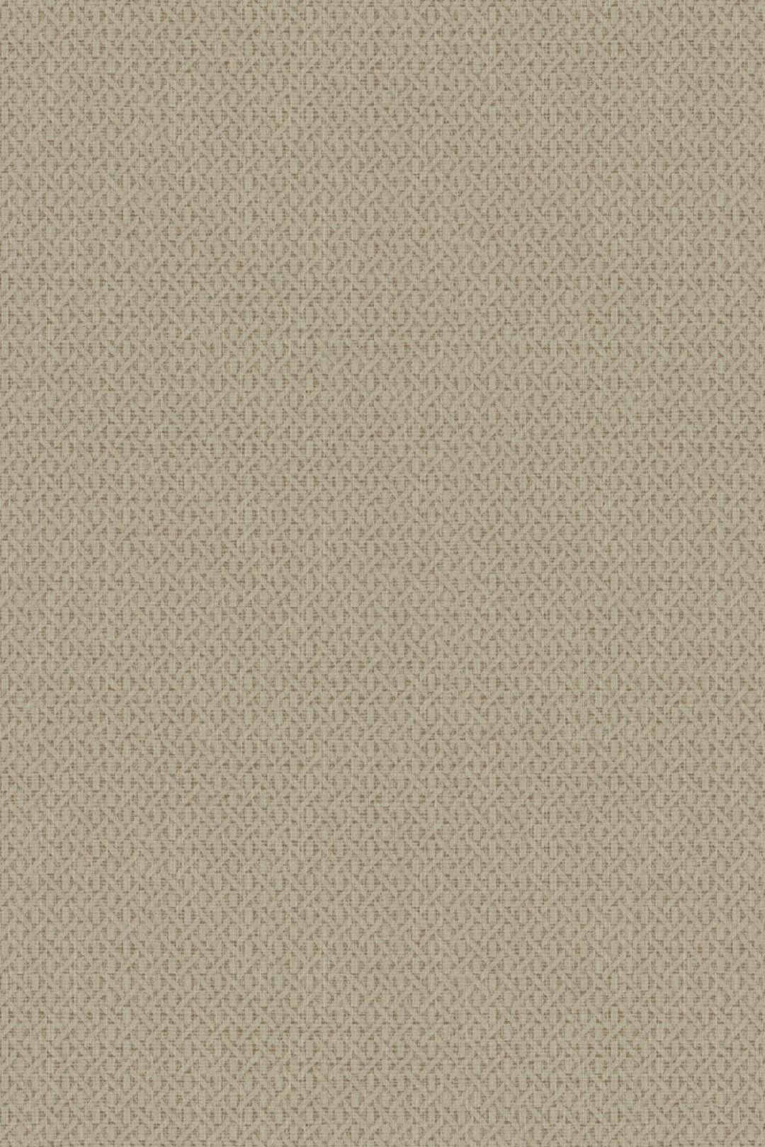 HookedOnWalls Natural Chic Roma behang 32642Afbeelding 3