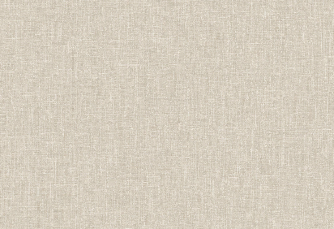 HookedOnWalls Neutralizer 01 Plain behang 31605Afbeelding 1