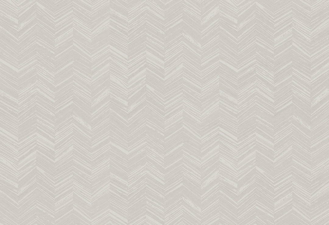 HookedOnWalls New Wave Chevron Simposium behang 24814Afbeelding 1