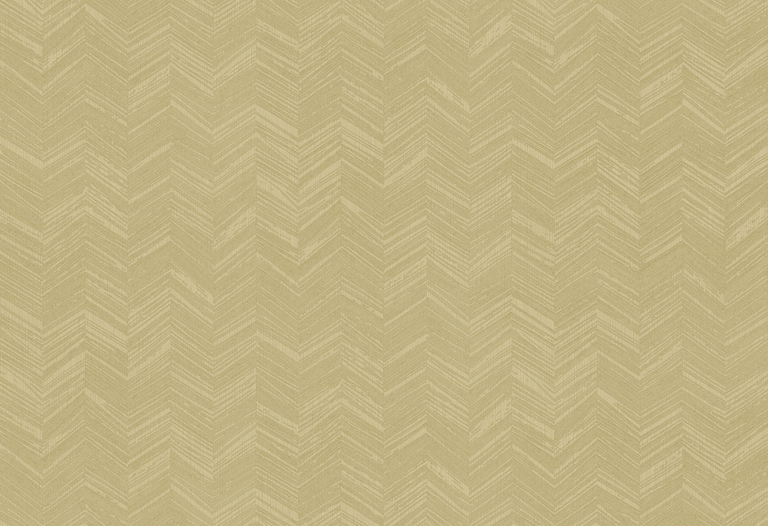 HookedOnWalls New Wave Chevron Simposium behang 24817Afbeelding 1