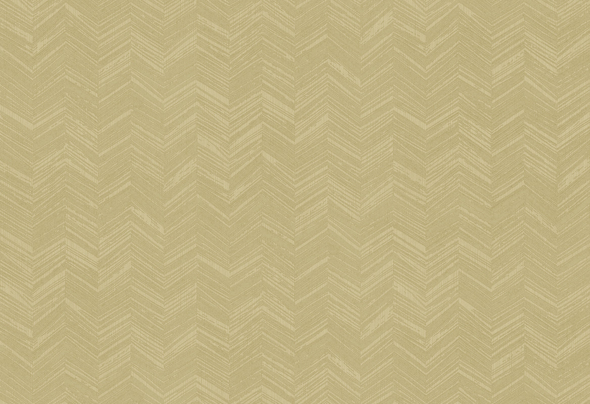 HookedOnWalls New Wave Chevron Simposium behang 24817Afbeelding 1