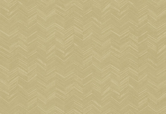 HookedOnWalls New Wave Chevron Simposium behang 24817Afbeelding 1