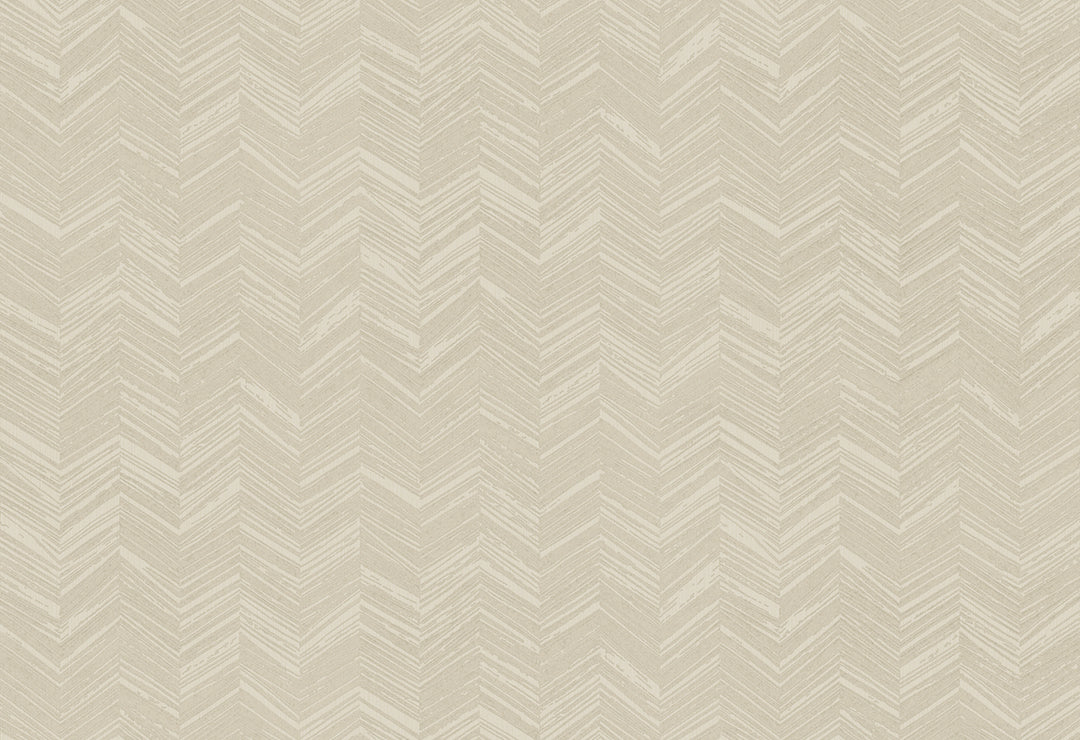 HookedOnWalls New Wave Chevron Simposium behang 24815Afbeelding 1