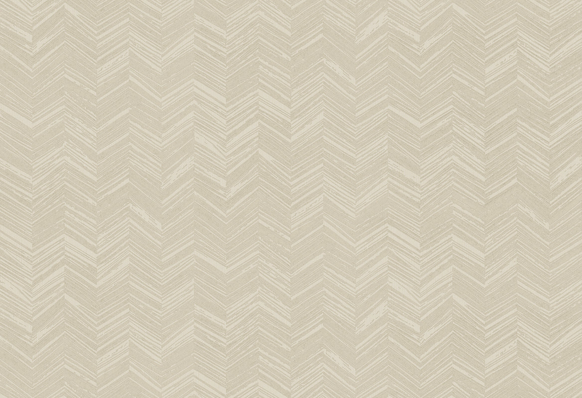HookedOnWalls New Wave Chevron Simposium behang 24815Afbeelding 1
