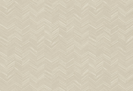 HookedOnWalls New Wave Chevron Simposium behang 24815Afbeelding 1