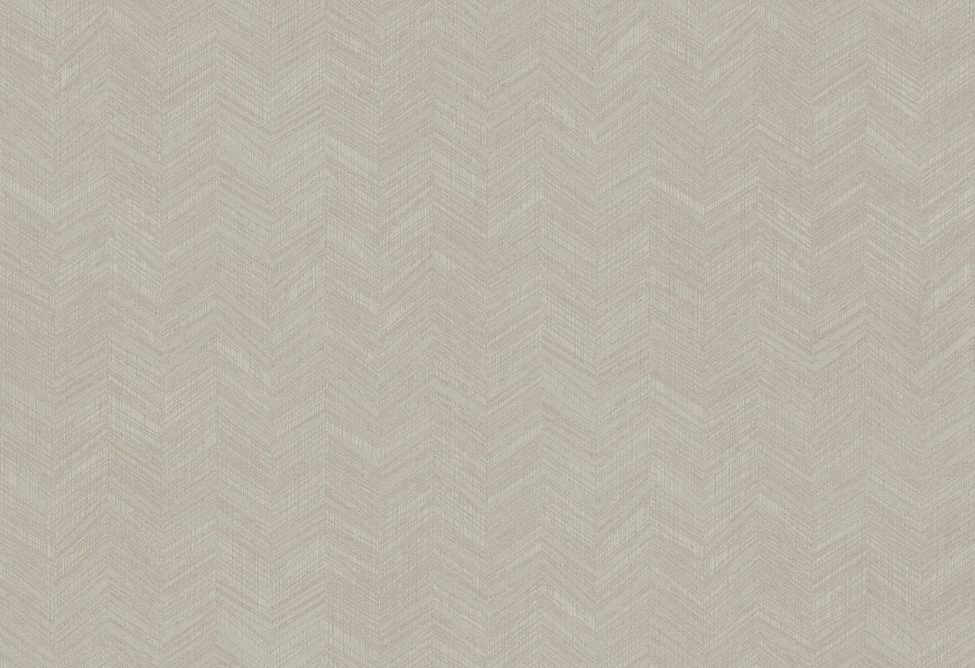 HookedOnWalls New Wave Chevron Simposium behang 24816Afbeelding 1