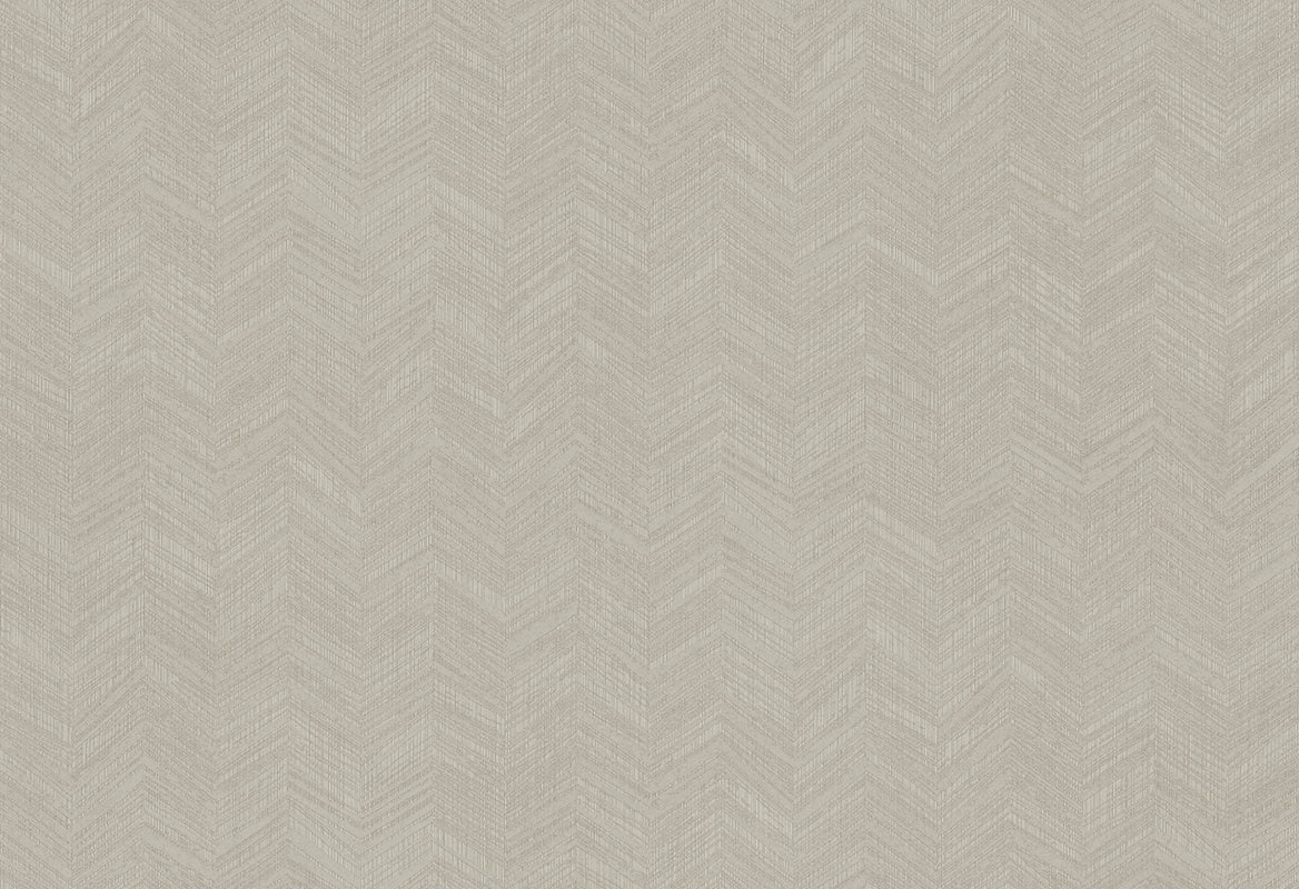 HookedOnWalls New Wave Chevron Simposium behang 24816Afbeelding 1