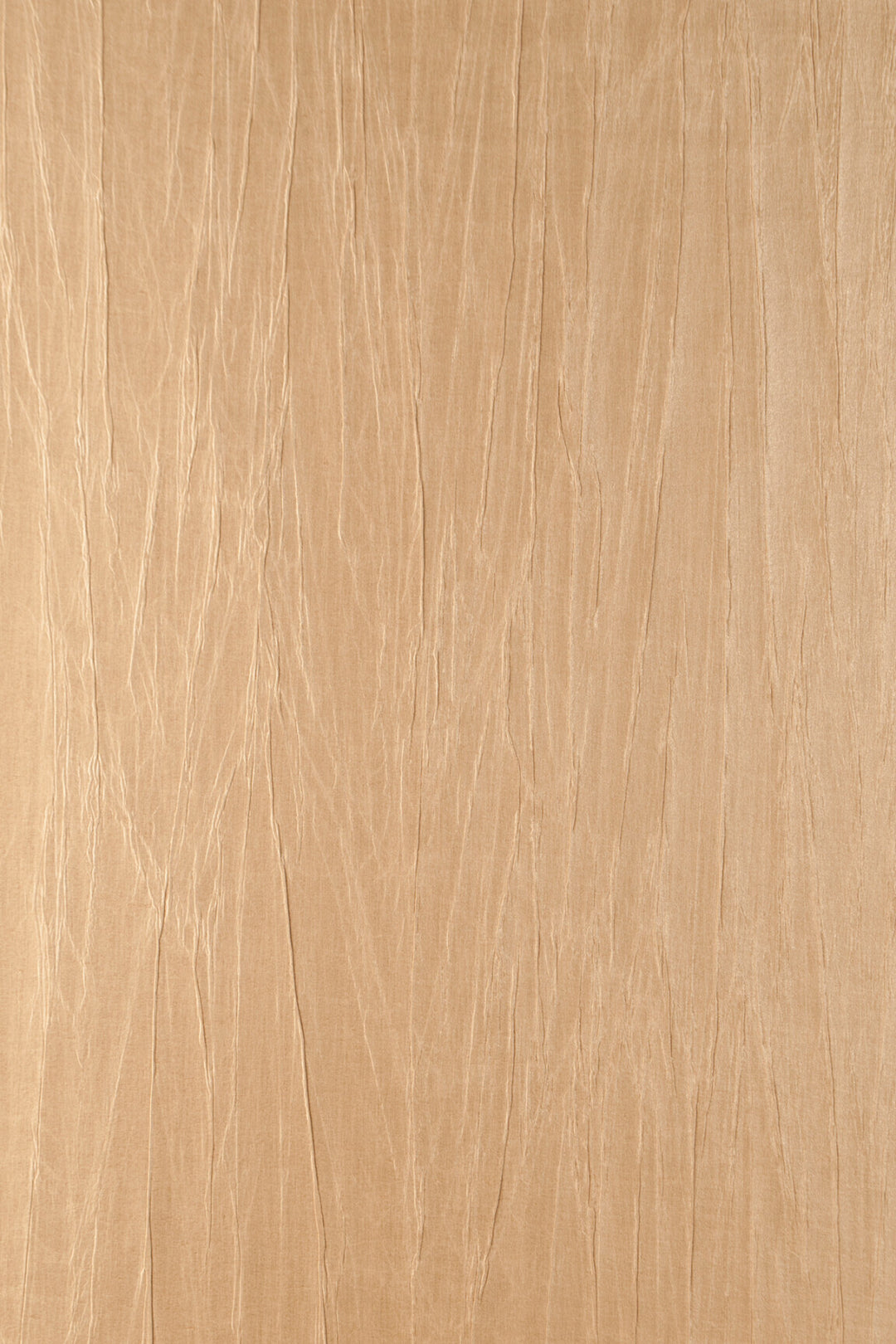 ARTE Pyxis Noctis 38005 afbeelding 1 "Naturel"