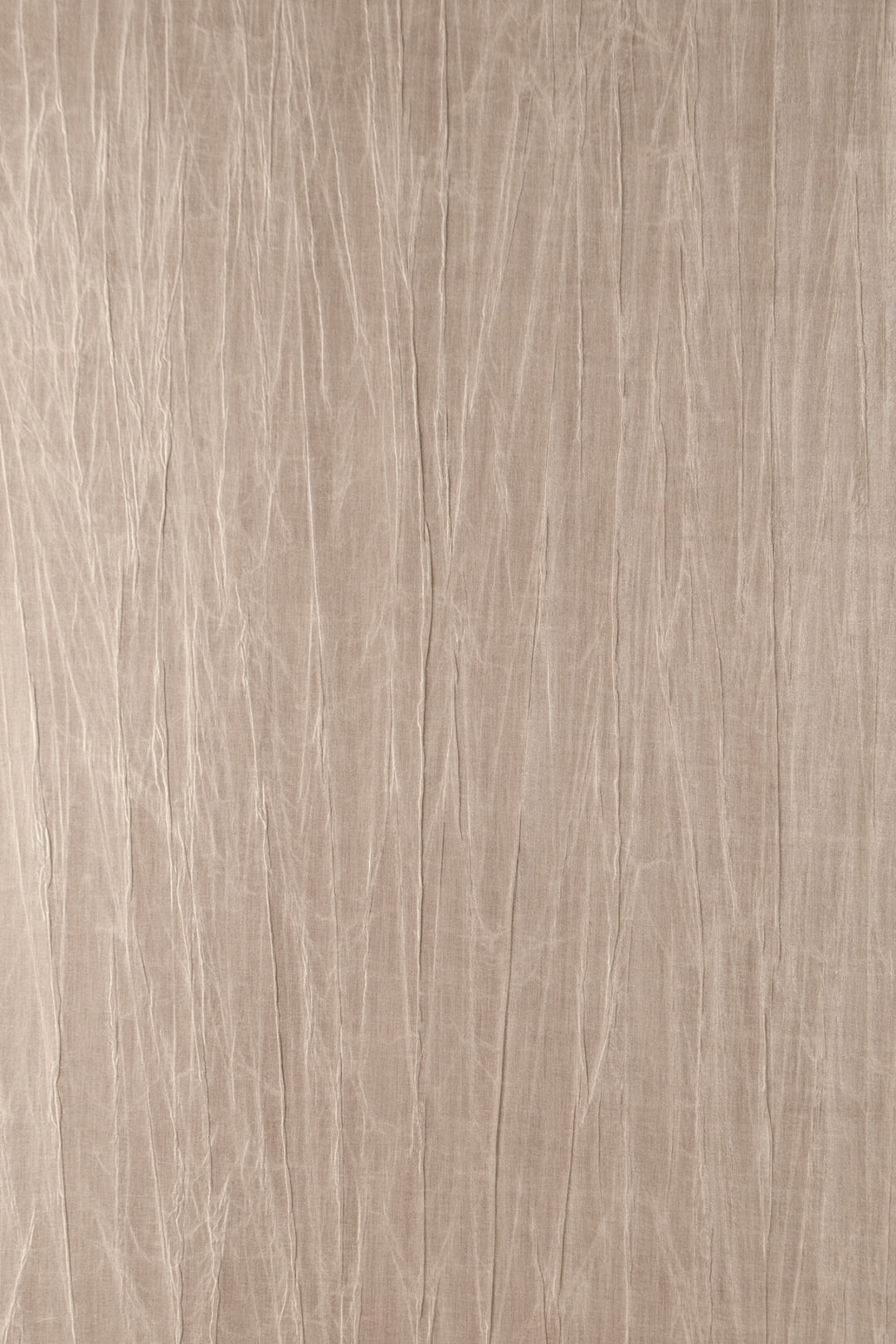 ARTE Pyxis Noctis 38008 afbeelding 1 "Naturel","Paars"