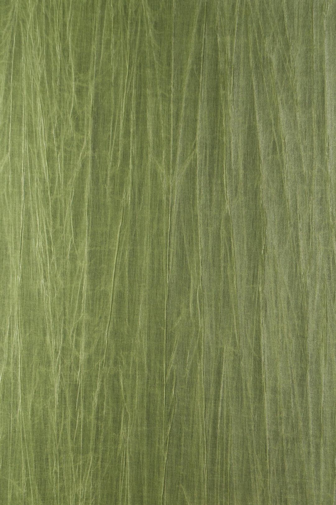 ARTE Pyxis Noctis 38015 afbeelding 1 "Groen"