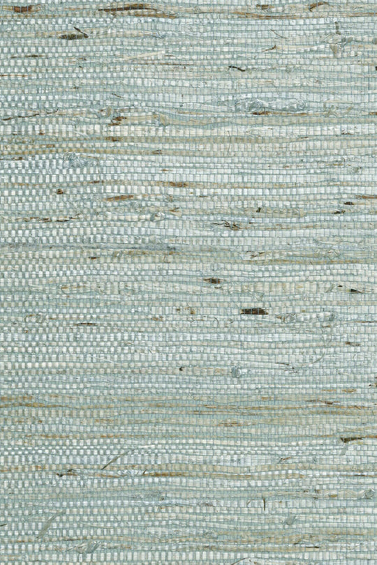ARTE Kudzu Osmanthus 54531 afbeelding 1 "Groen"