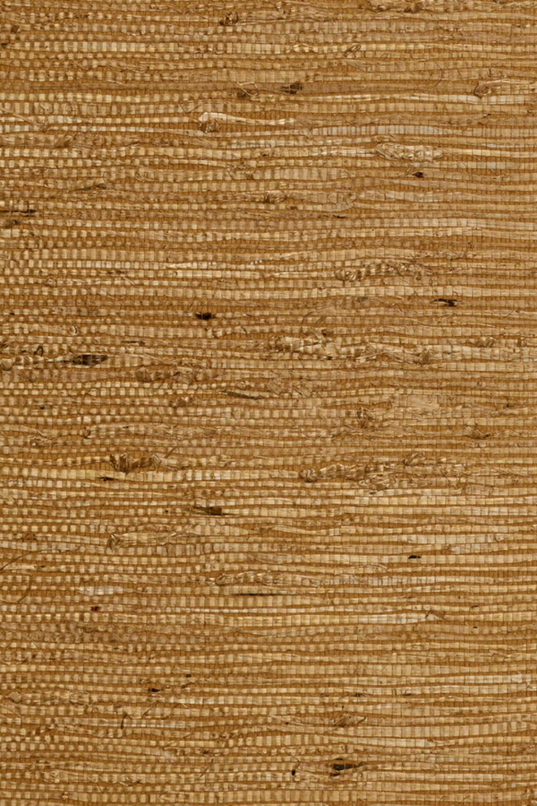 ARTE Kudzu Osmanthus 54532 afbeelding 1 "Bruin"