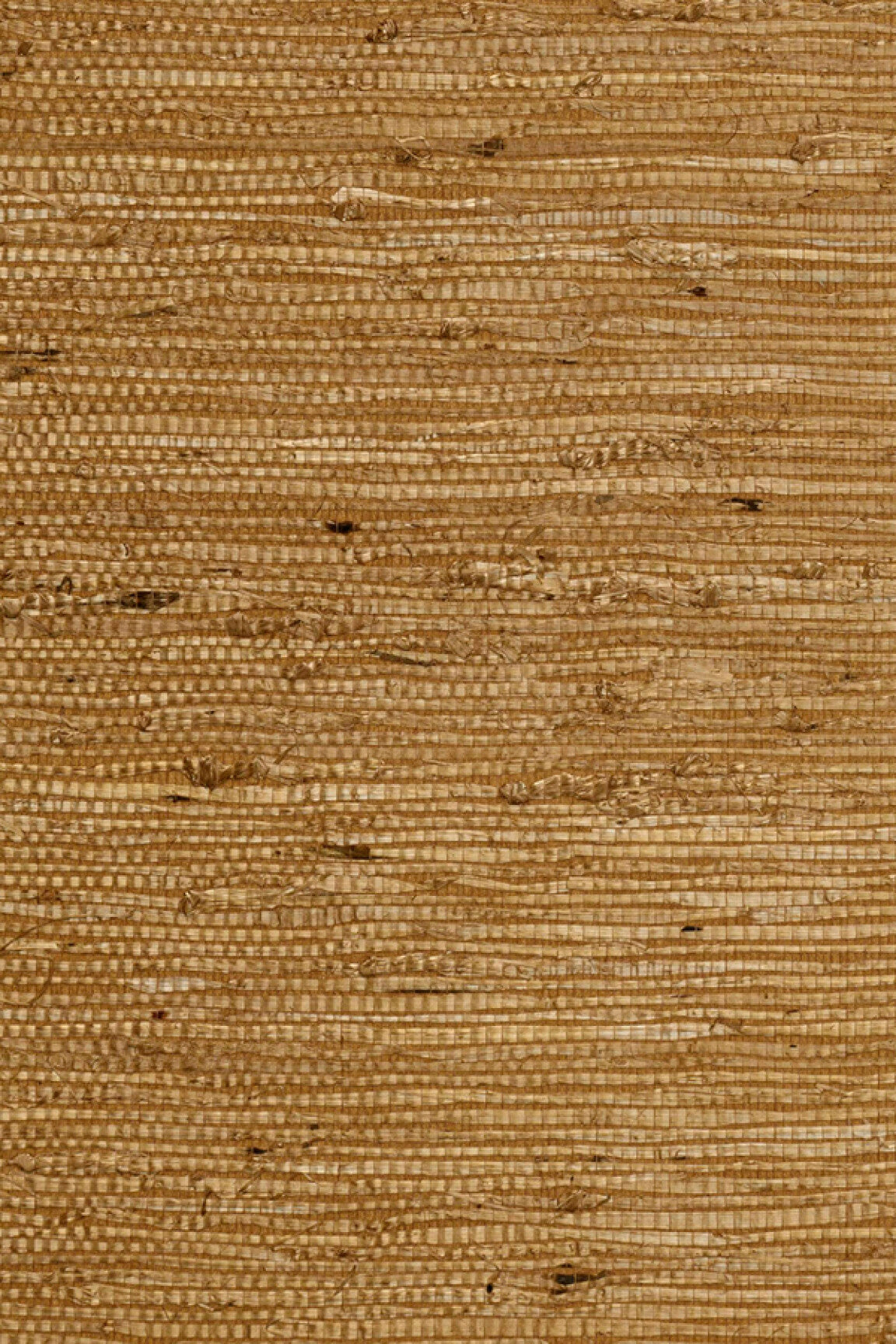 ARTE Kudzu Osmanthus 54532 afbeelding 1 "Bruin"
