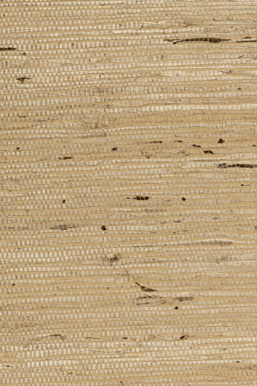 ARTE Kudzu Osmanthus 54541 afbeelding 1 "Naturel"