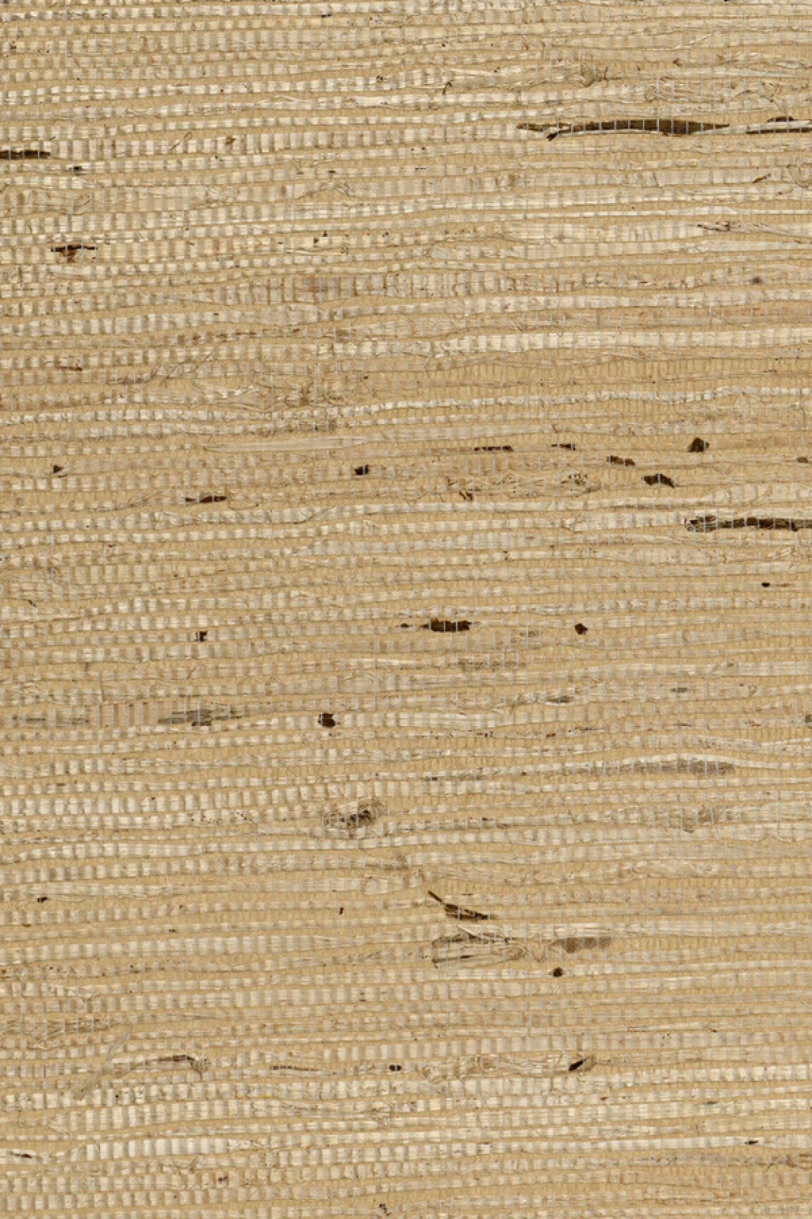 ARTE Kudzu Osmanthus 54541 afbeelding 1 "Naturel"