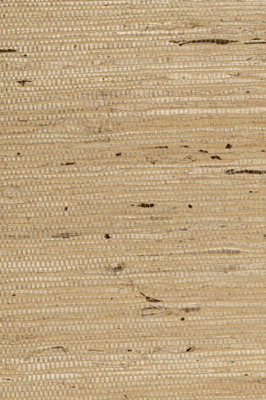 ARTE Kudzu Osmanthus 54541 afbeelding 1 "Naturel"