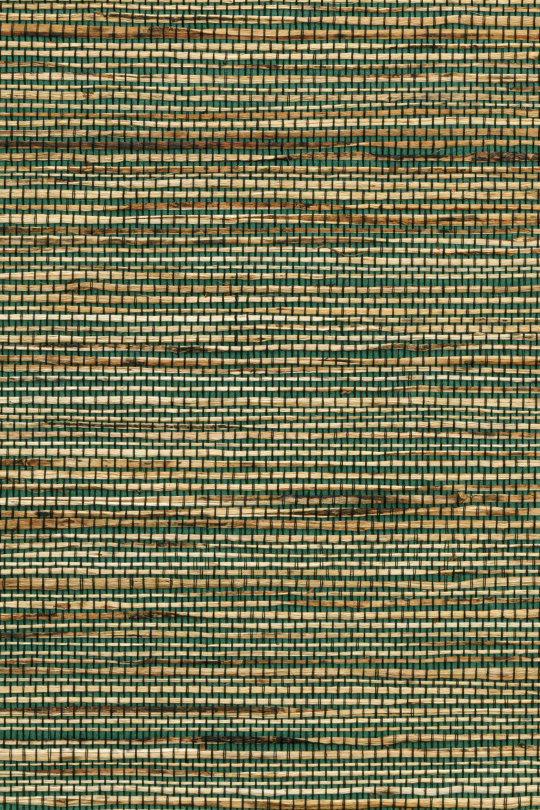 ARTE Sambe Osmanthus 54551 afbeelding 1 "Groen"