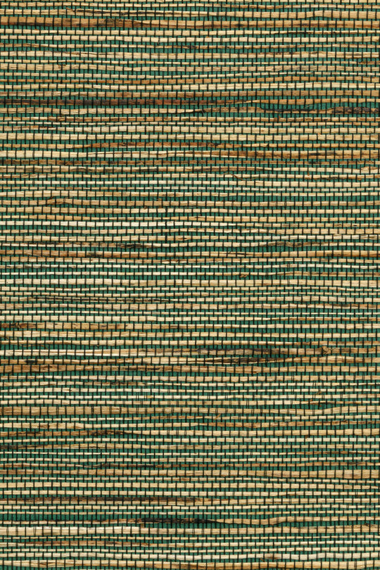 ARTE Sambe Osmanthus 54551 afbeelding 1 "Groen"