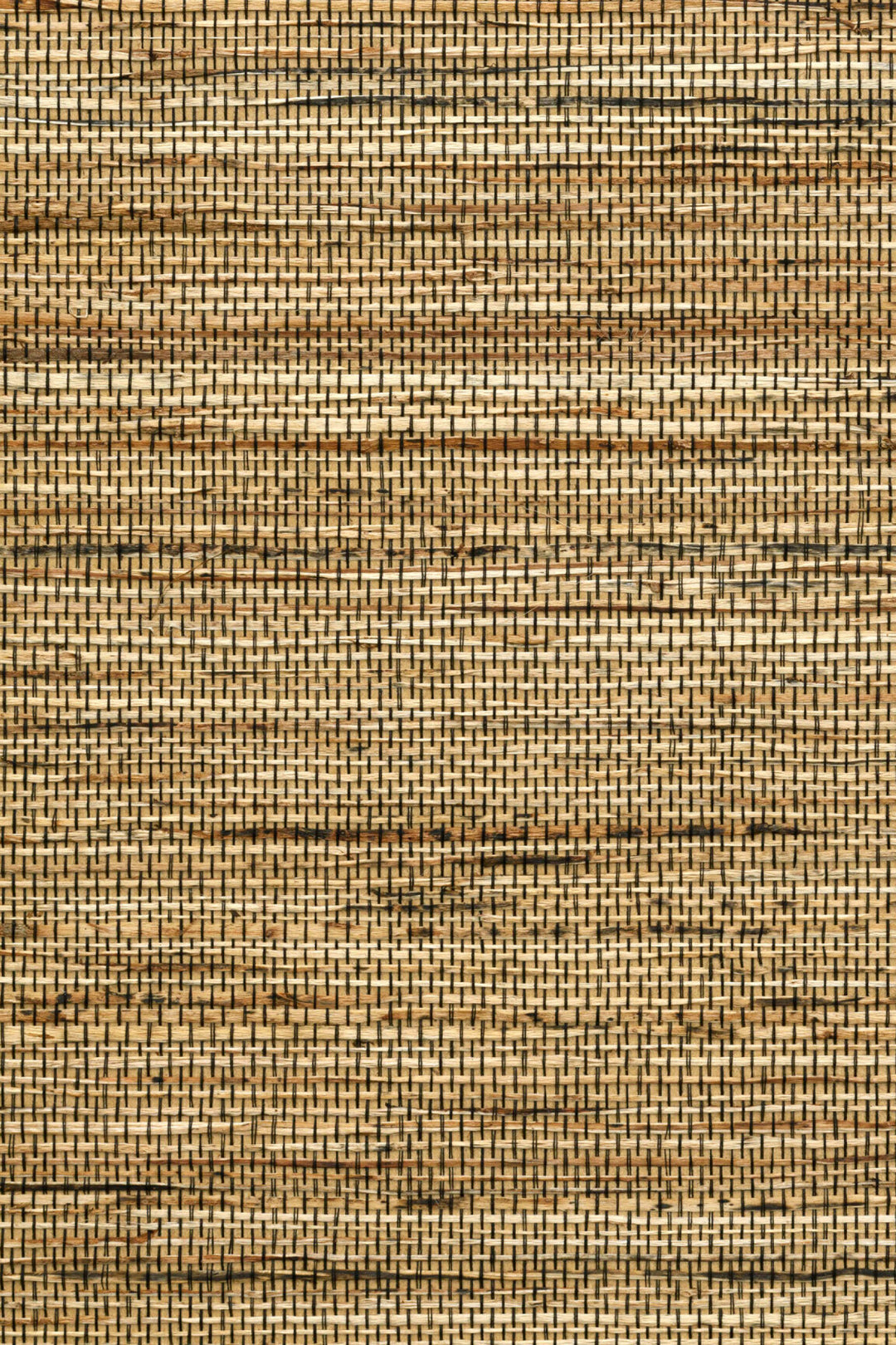 ARTE Sambe Osmanthus 54554 afbeelding 1 "Naturel"