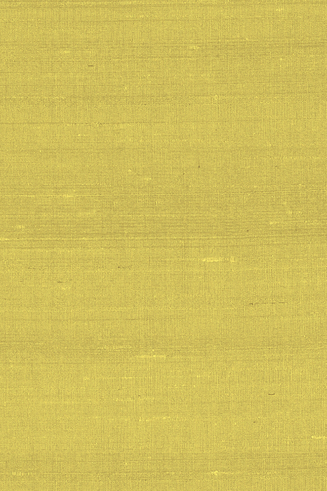 ARTE Latus Paleo 50507 afbeelding 1