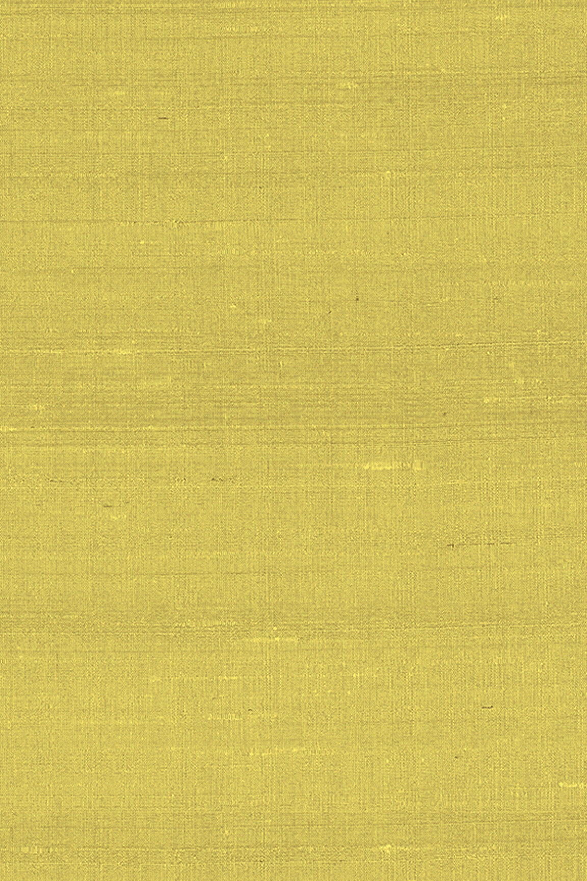 ARTE Latus Paleo 50507 afbeelding 1