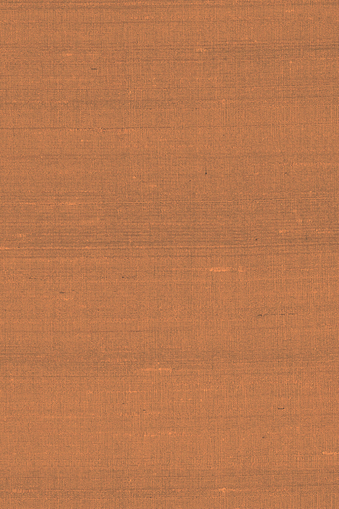 ARTE Latus Paleo 50514 afbeelding 1 "Oranje"