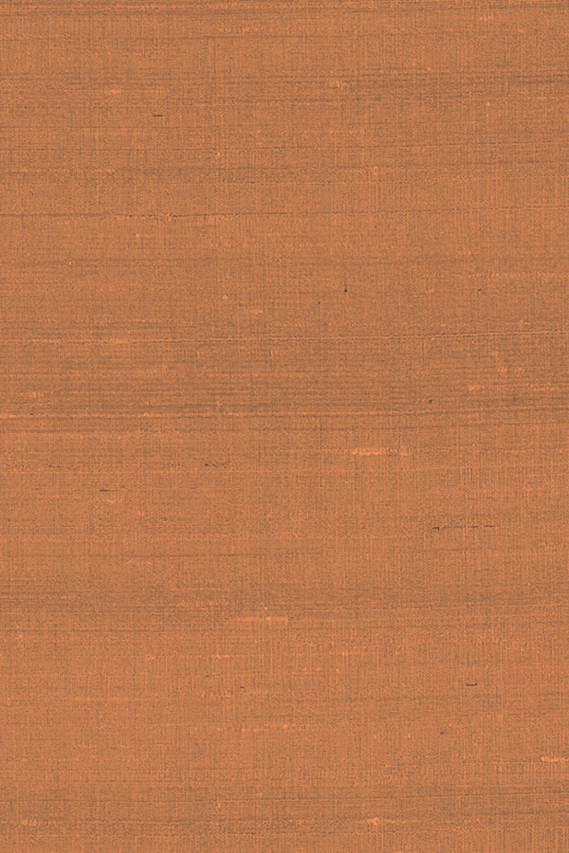 ARTE Latus Paleo 50514 afbeelding 1 "Oranje"