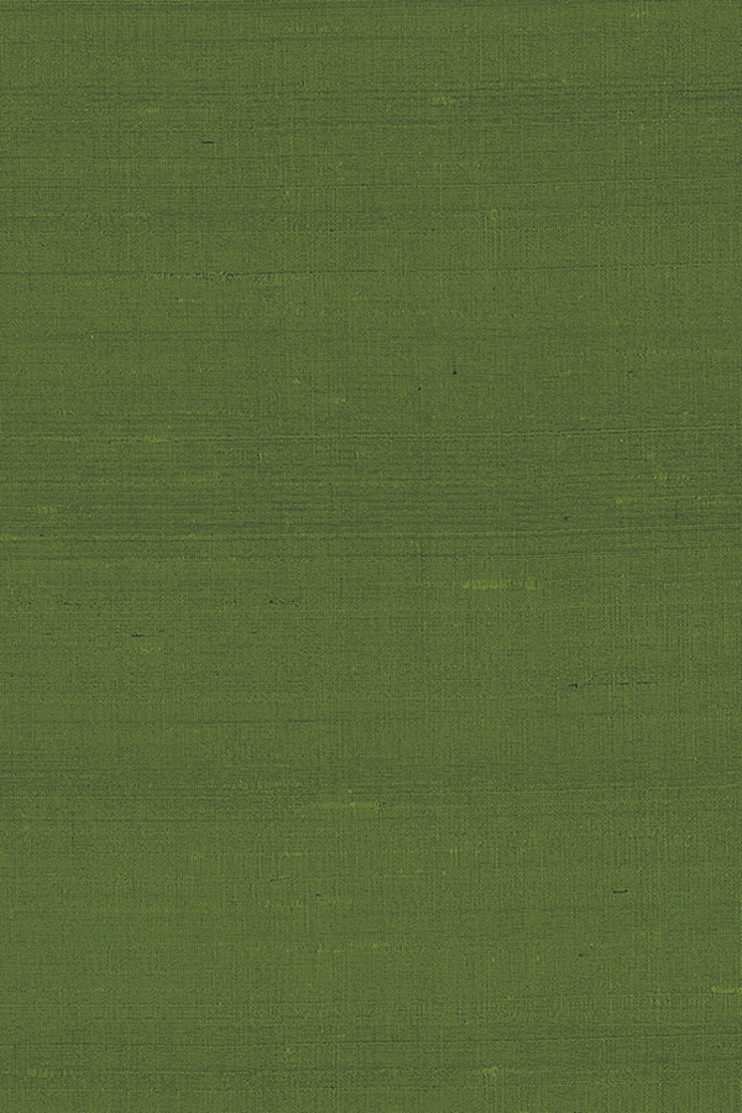 ARTE Latus Paleo 50519 afbeelding 1 "Groen"