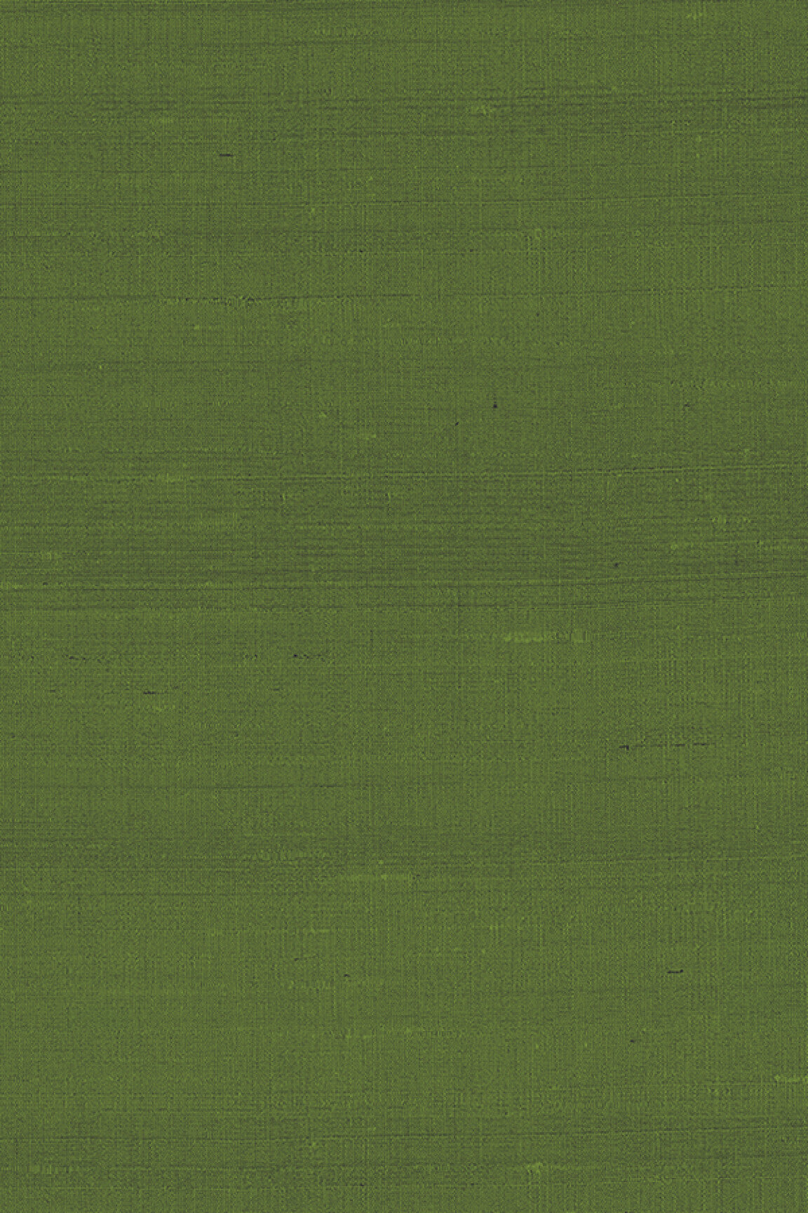 ARTE Latus Paleo 50519 afbeelding 1 "Groen"
