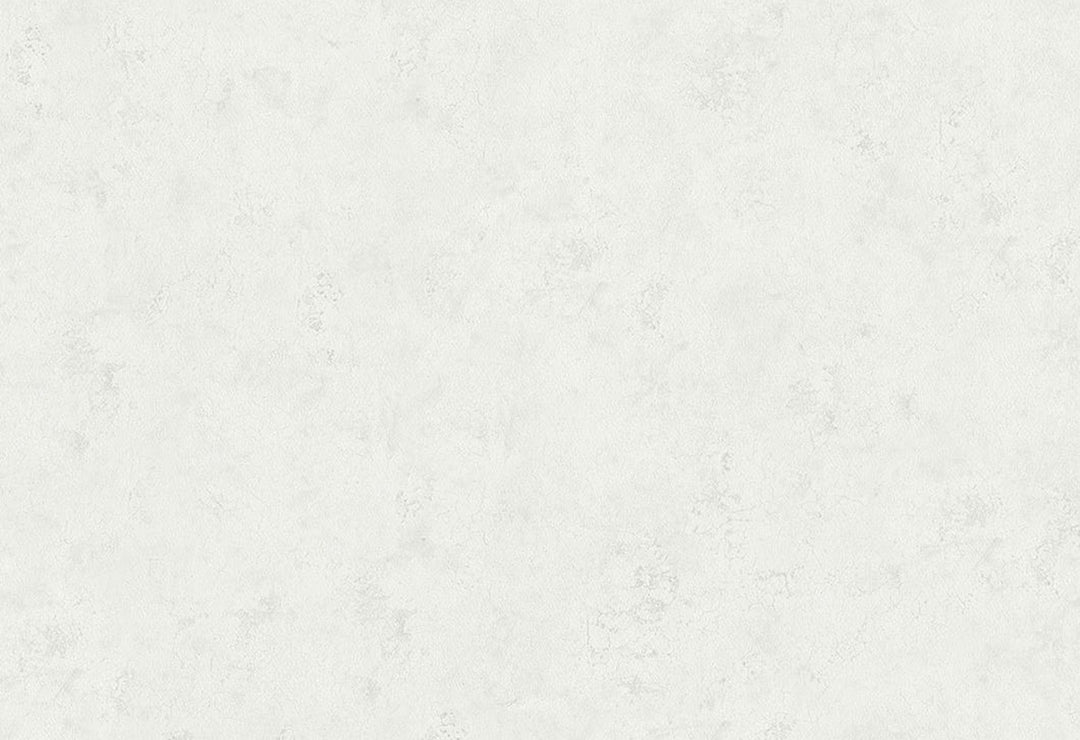 HookedOnWalls Passe Partout 2025 Tone on Tone Tone on Tone behang 4403Afbeelding 1