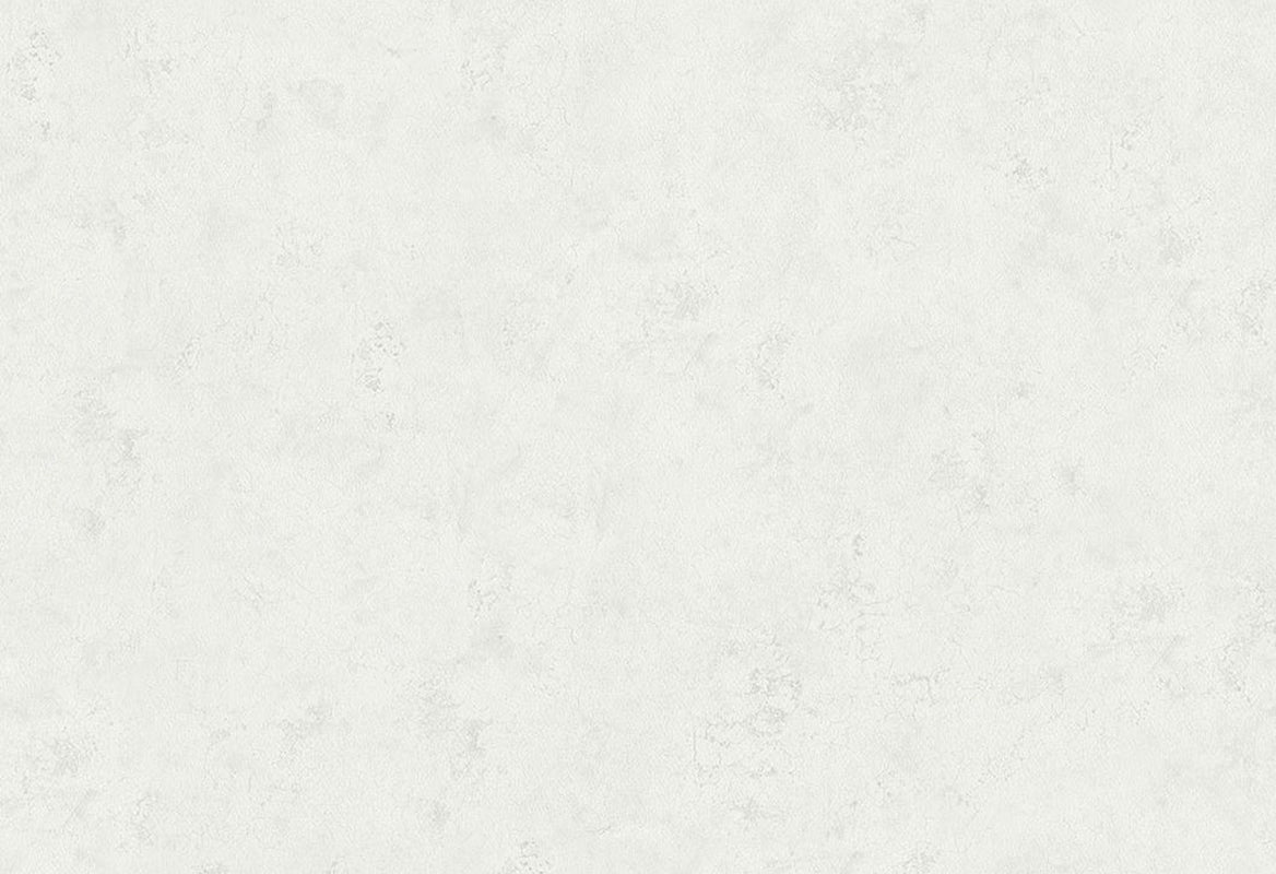 HookedOnWalls Passe Partout 2025 Tone on Tone Tone on Tone behang 4403Afbeelding 1