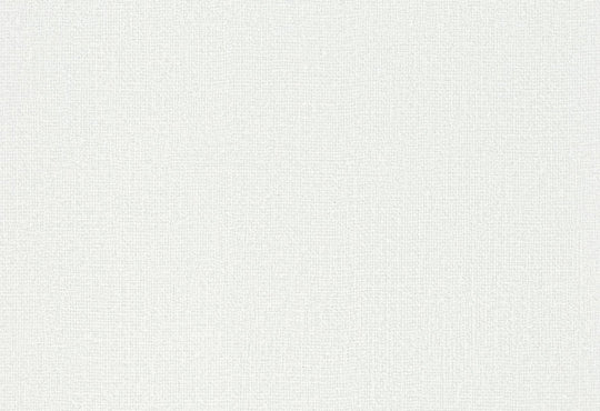 HookedOnWalls Passe Partout 2025 Tone on Tone Tone on Tone behang 4400Afbeelding 1