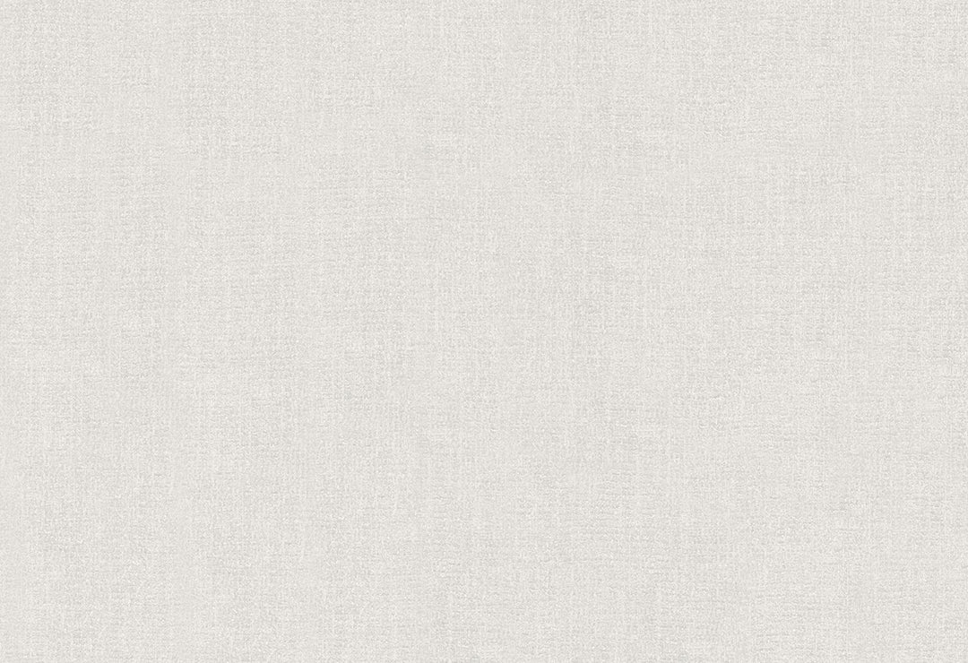 HookedOnWalls Passe Partout 2025 Tone on Tone Tone on Tone behang 4404Afbeelding 1