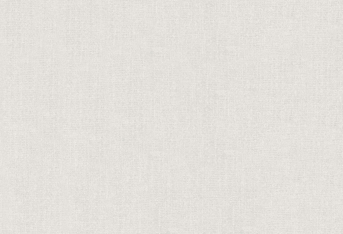 HookedOnWalls Passe Partout 2025 Tone on Tone Tone on Tone behang 4404Afbeelding 1