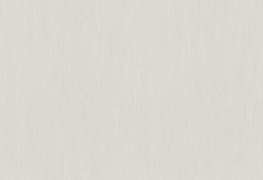 HookedOnWalls Passe Partout 2025 Tone on Tone Tone on Tone behang 4405Afbeelding 1