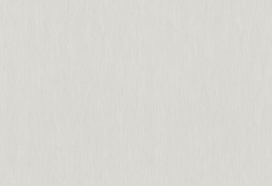HookedOnWalls Passe Partout 2025 Tone on Tone Tone on Tone behang 4405Afbeelding 1