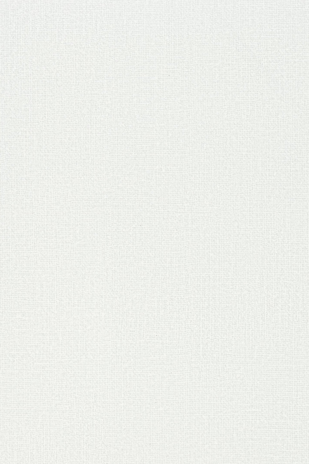 HookedOnWalls Passe Partout 2025 Tone on Tone Tone on Tone behang 4400Afbeelding 3