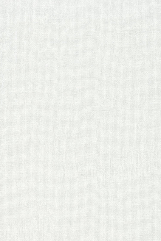 HookedOnWalls Passe Partout 2025 Tone on Tone Tone on Tone behang 4400Afbeelding 3