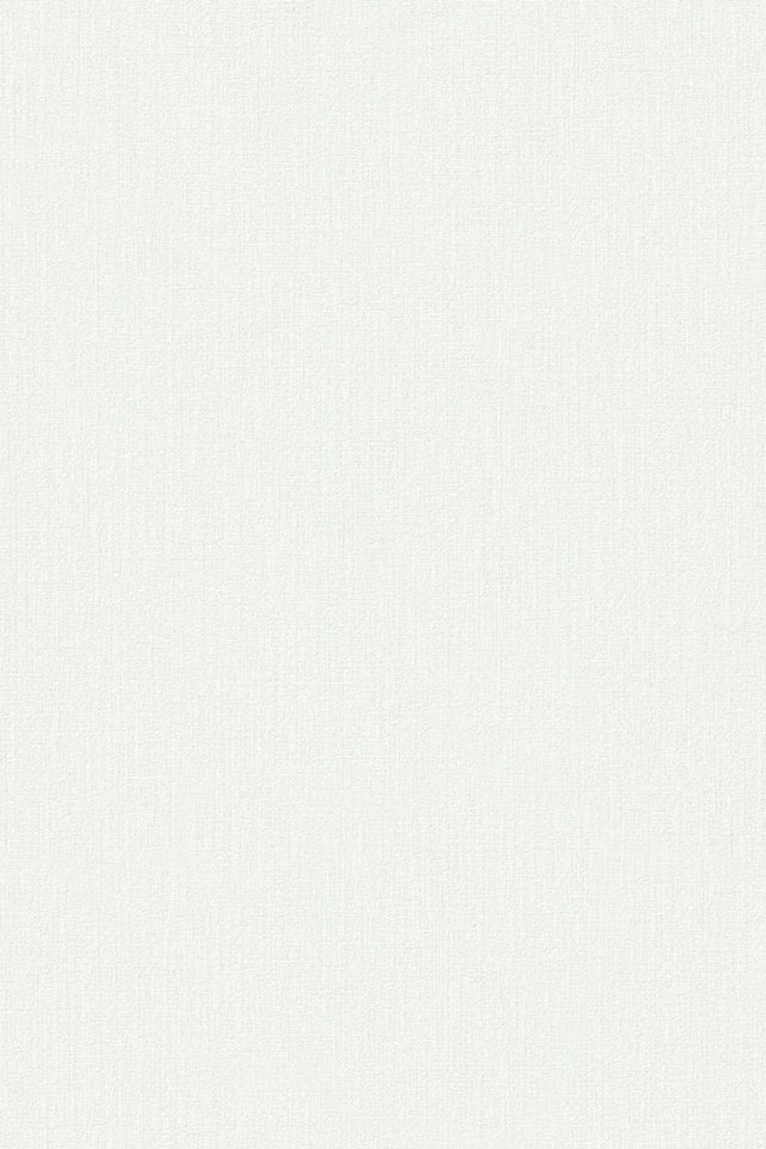 HookedOnWalls Passe Partout 2025 Tone on Tone Tone on Tone behang 4402Afbeelding 3