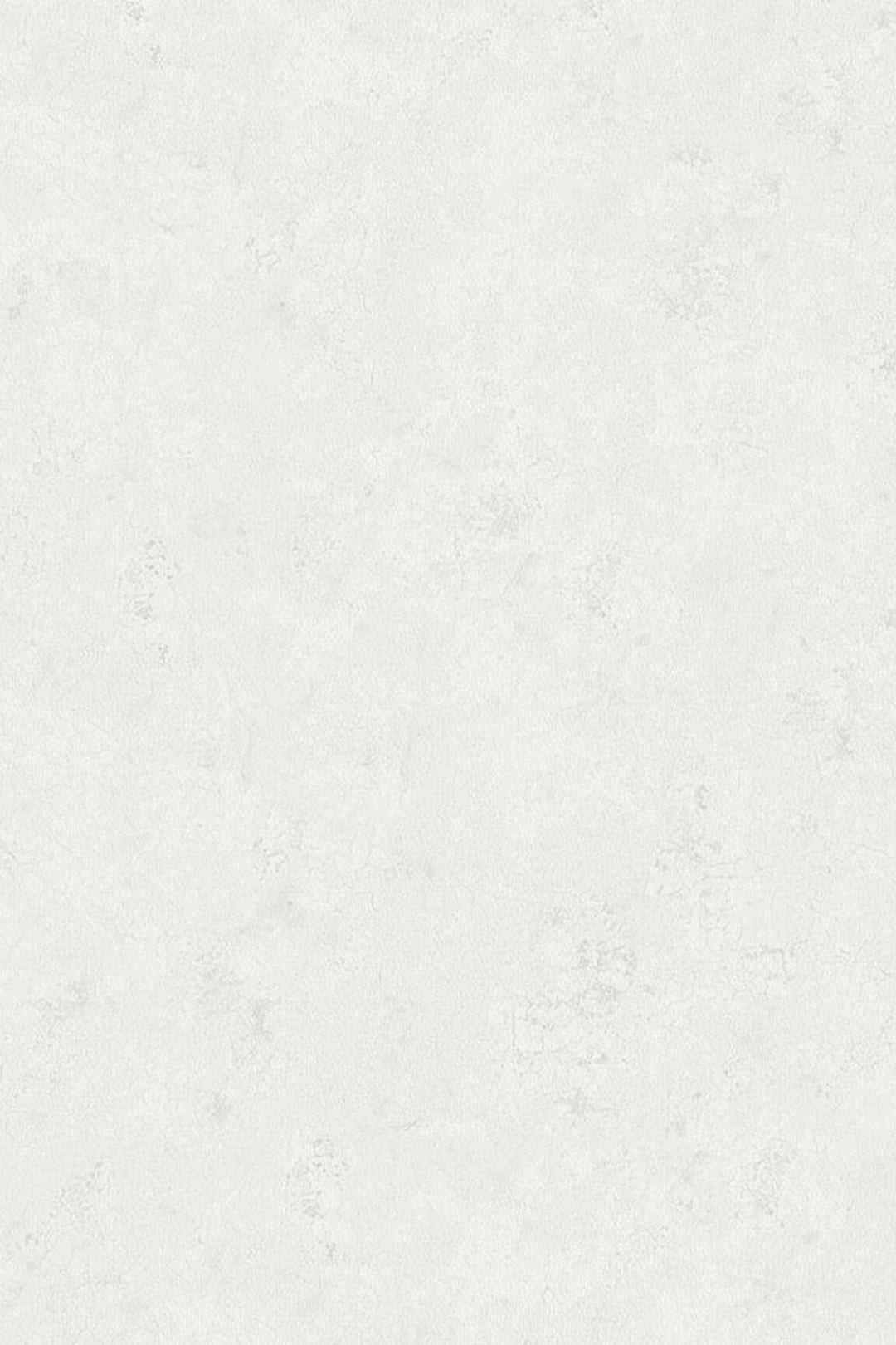 HookedOnWalls Passe Partout 2025 Tone on Tone Tone on Tone behang 4403Afbeelding 3