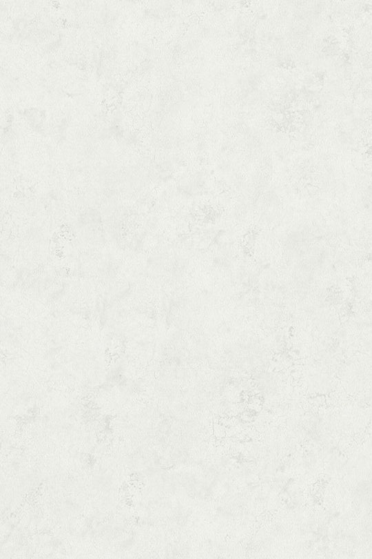 HookedOnWalls Passe Partout 2025 Tone on Tone Tone on Tone behang 4403Afbeelding 3