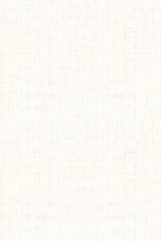 HookedOnWalls Passe Partout 2025 Tone on Tone Tone on Tone behang 4407Afbeelding 3