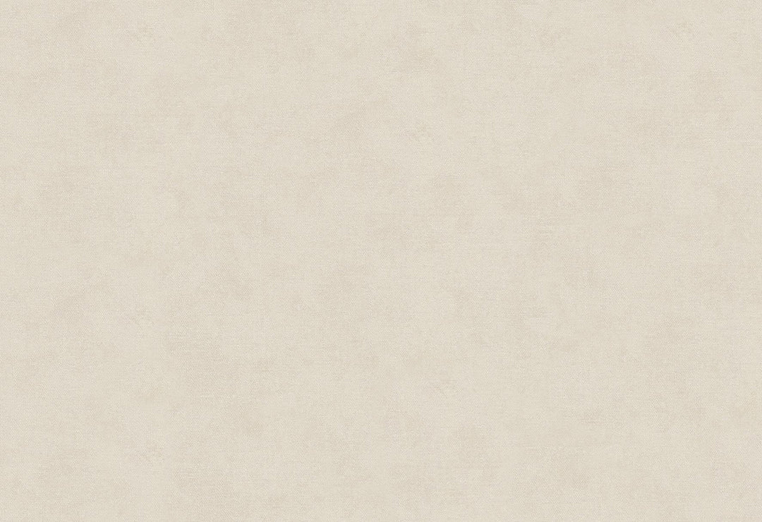 HookedOnWalls Passe Partout 2025 Tone on Tone Tone on Tone behang 4414Afbeelding 1
