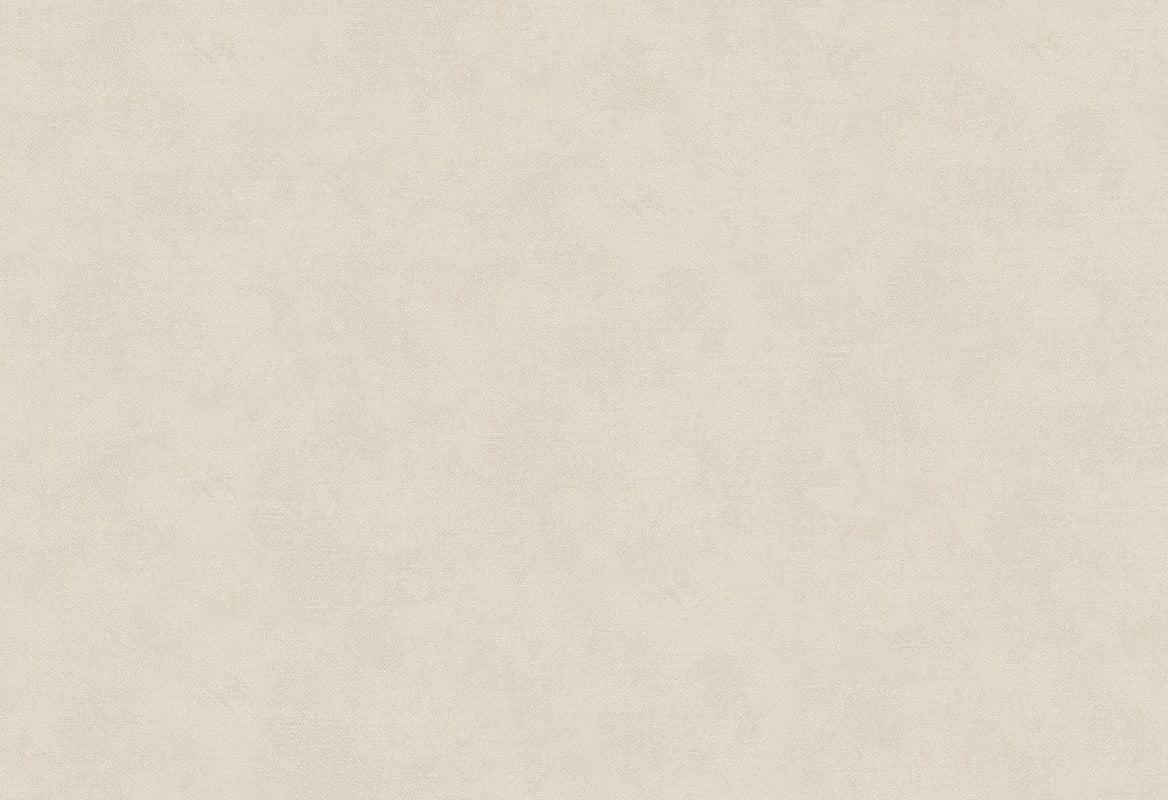 HookedOnWalls Passe Partout 2025 Tone on Tone Tone on Tone behang 4414Afbeelding 1