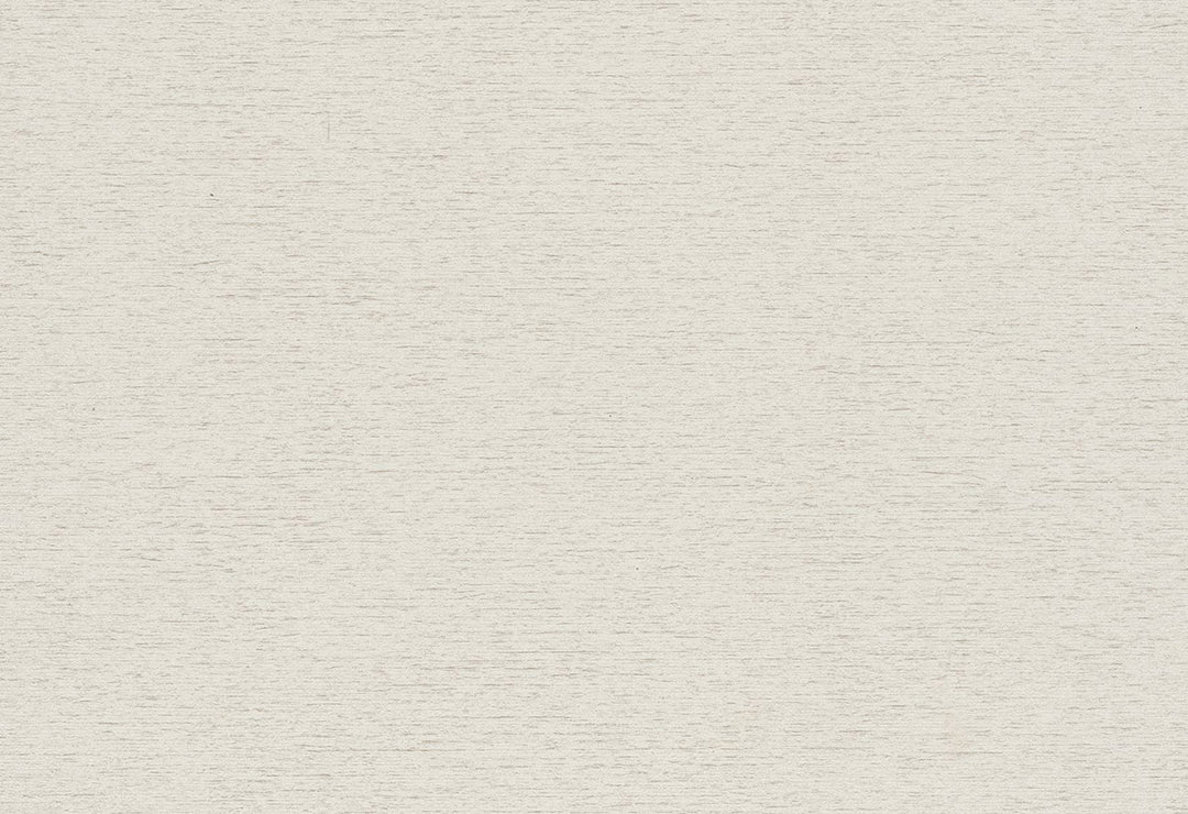 HookedOnWalls Passe Partout 2025 Tone on Tone Tone on Tone behang 4411Afbeelding 1