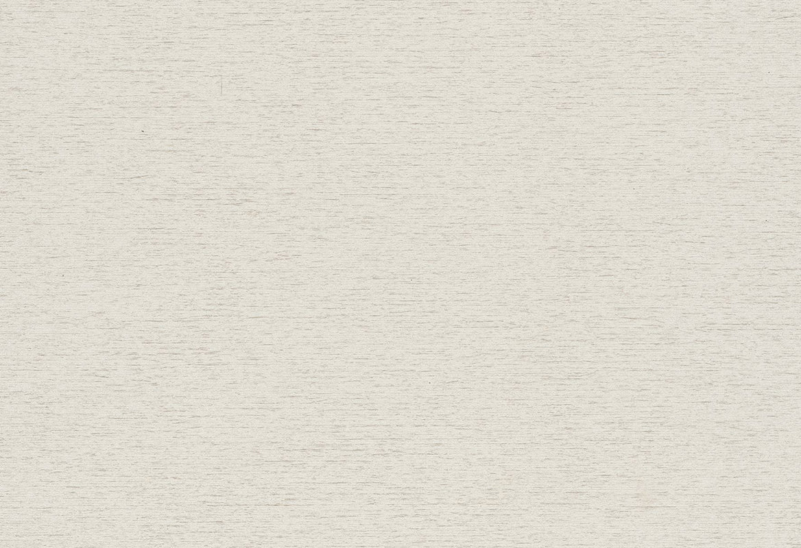 HookedOnWalls Passe Partout 2025 Tone on Tone Tone on Tone behang 4411Afbeelding 1